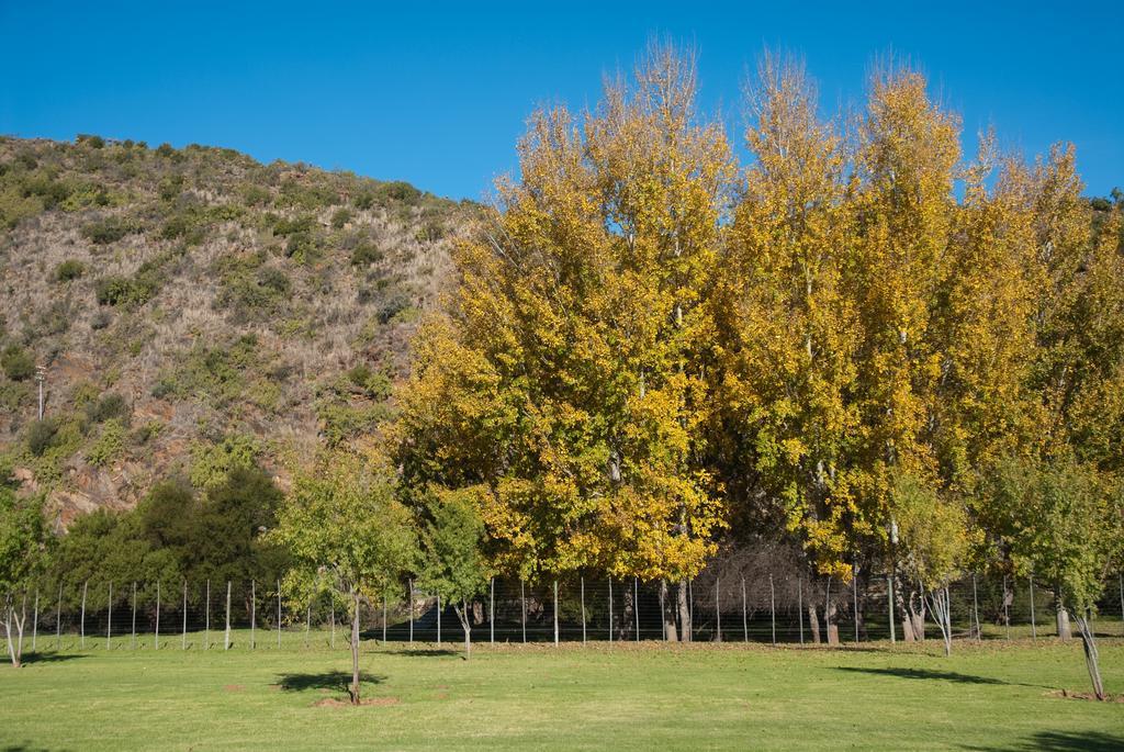 Old Mill Lodge, Seasonal Working Ostrich Farm & Restaurant, Oudtshoorn Esterno foto