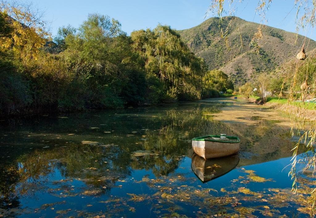 Old Mill Lodge, Seasonal Working Ostrich Farm & Restaurant, Oudtshoorn Esterno foto