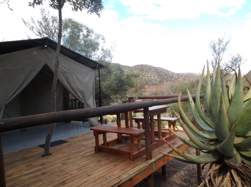 Old Mill Lodge, Seasonal Working Ostrich Farm & Restaurant, Oudtshoorn Camera foto